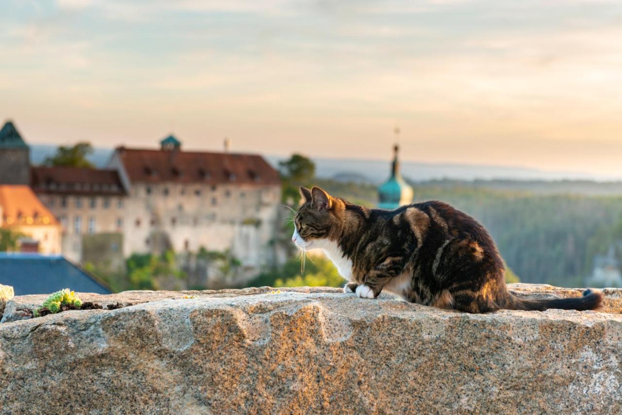 Hotel Zur Aussicht Hohnstein Kültér fotó